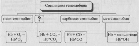 Соединения гемоглобина