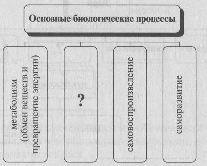 Запишите процесс. Основные биологические процессы. Биологический процесс схема. Основные биологические процессы ЕГЭ.