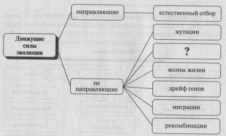 Нарисовать схему движущие силы эволюции