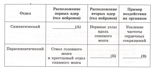 Заполните пустые ячейки таблицы используя термины